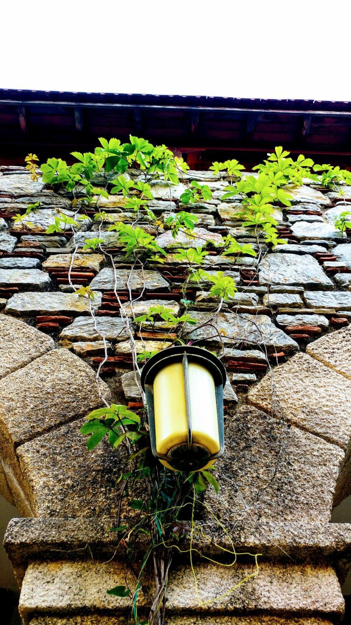 Eski Datca Evleri Exterior foto